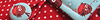 Portfolio Thumbnail